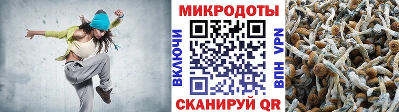 как найти закладки  Таруса  Галлюциногенные грибы прущие грибы 